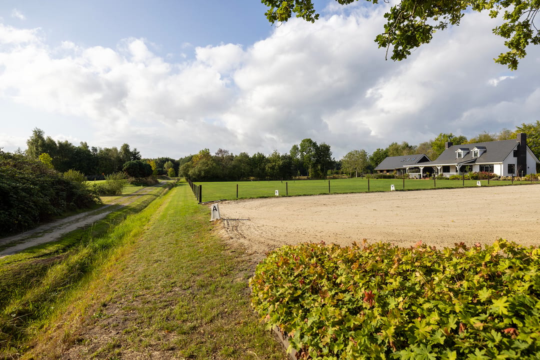 Photo 8 of Haarweg 14