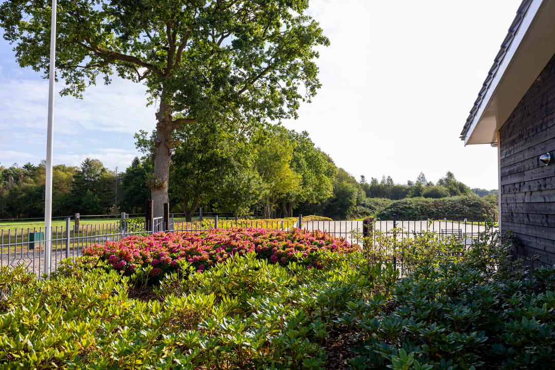 Photo 68 of Haarweg 14