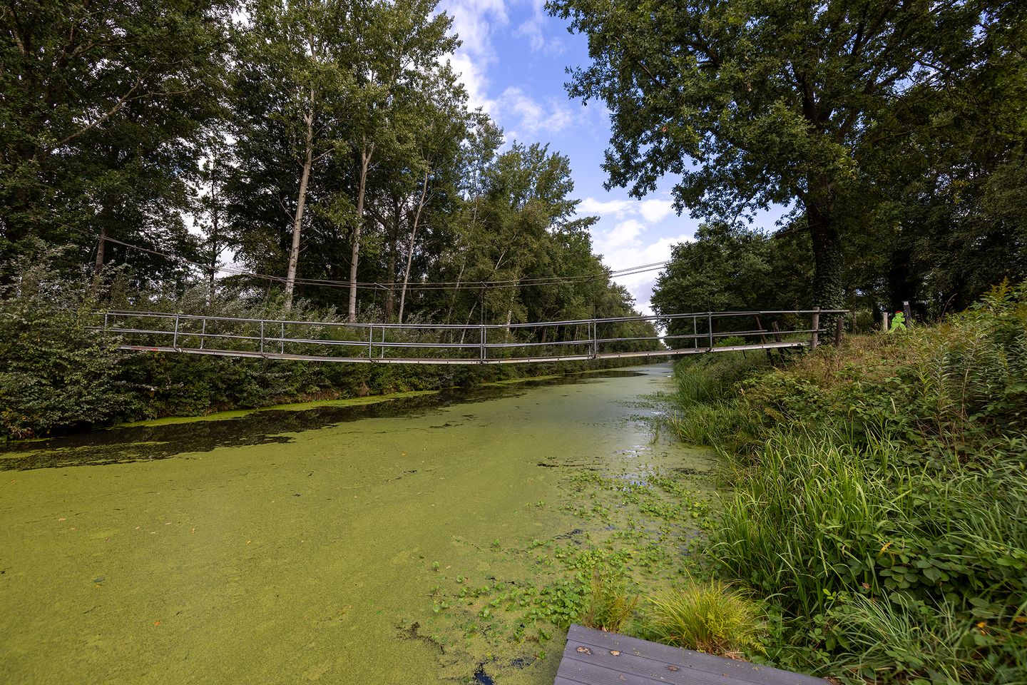 Photo 79 of Haarweg 14
