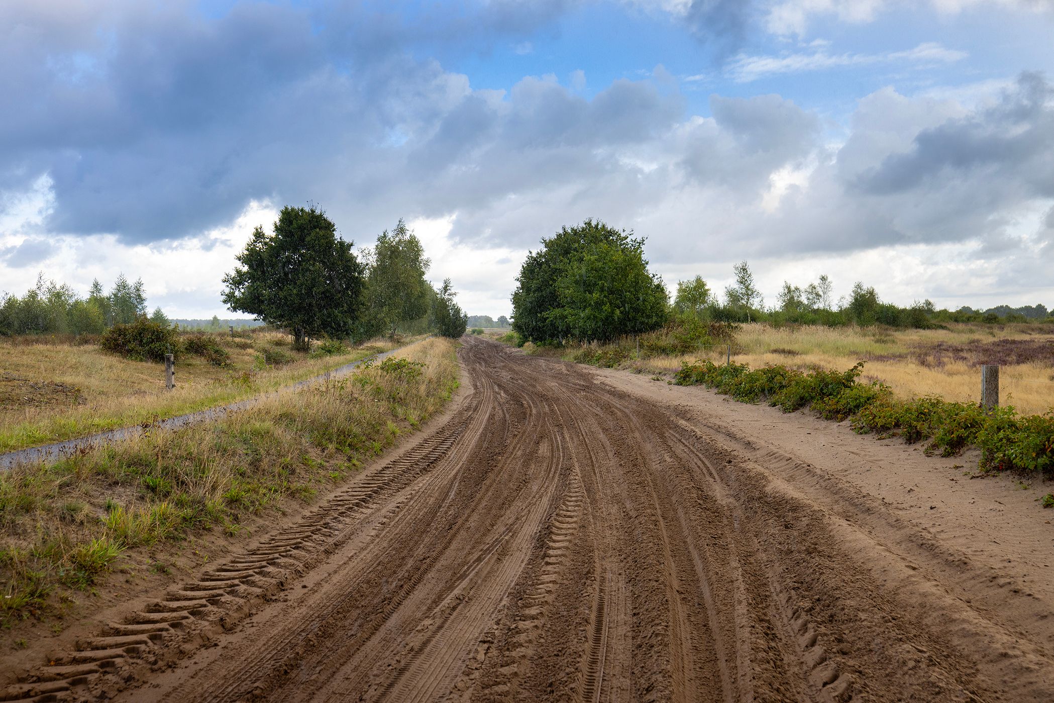 Photo 81 of Haarweg 14