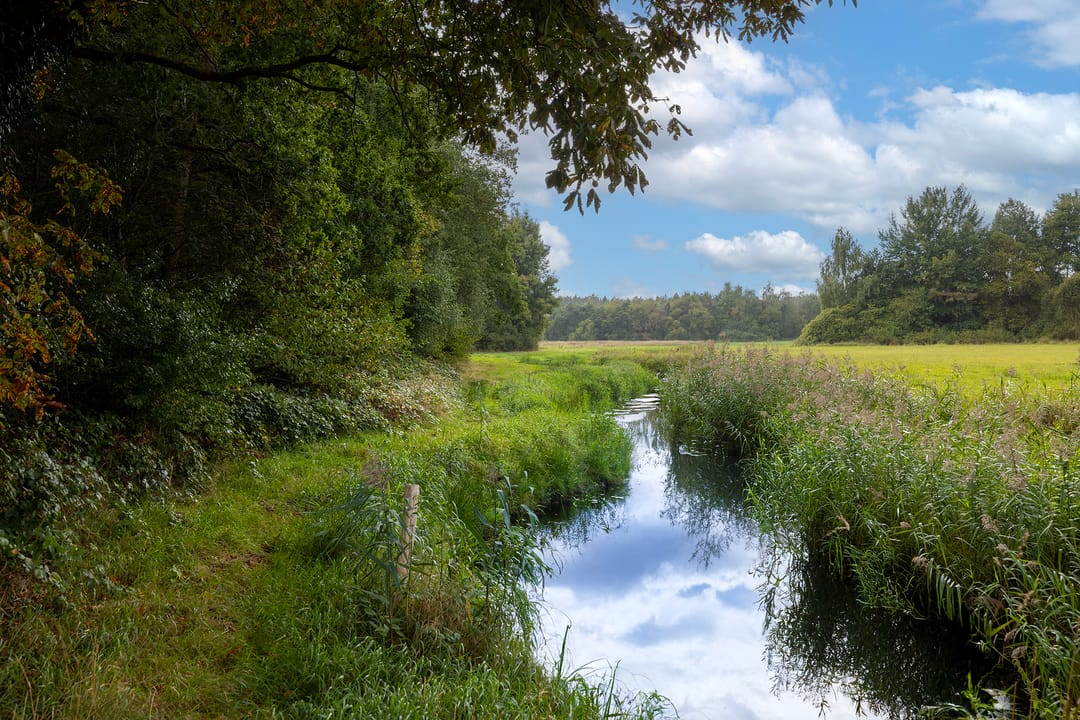Photo 77 of Haarweg 14