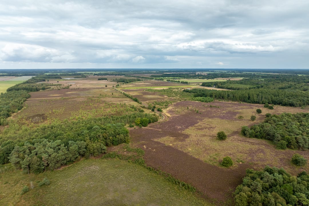 Photo 83 of Haarweg 14