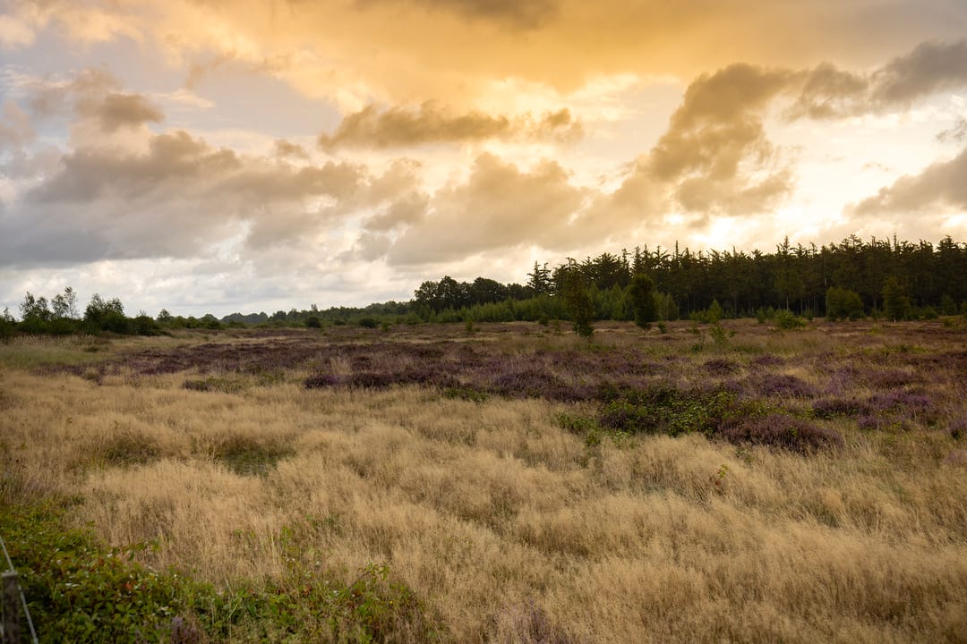 Photo 82 of Haarweg 14