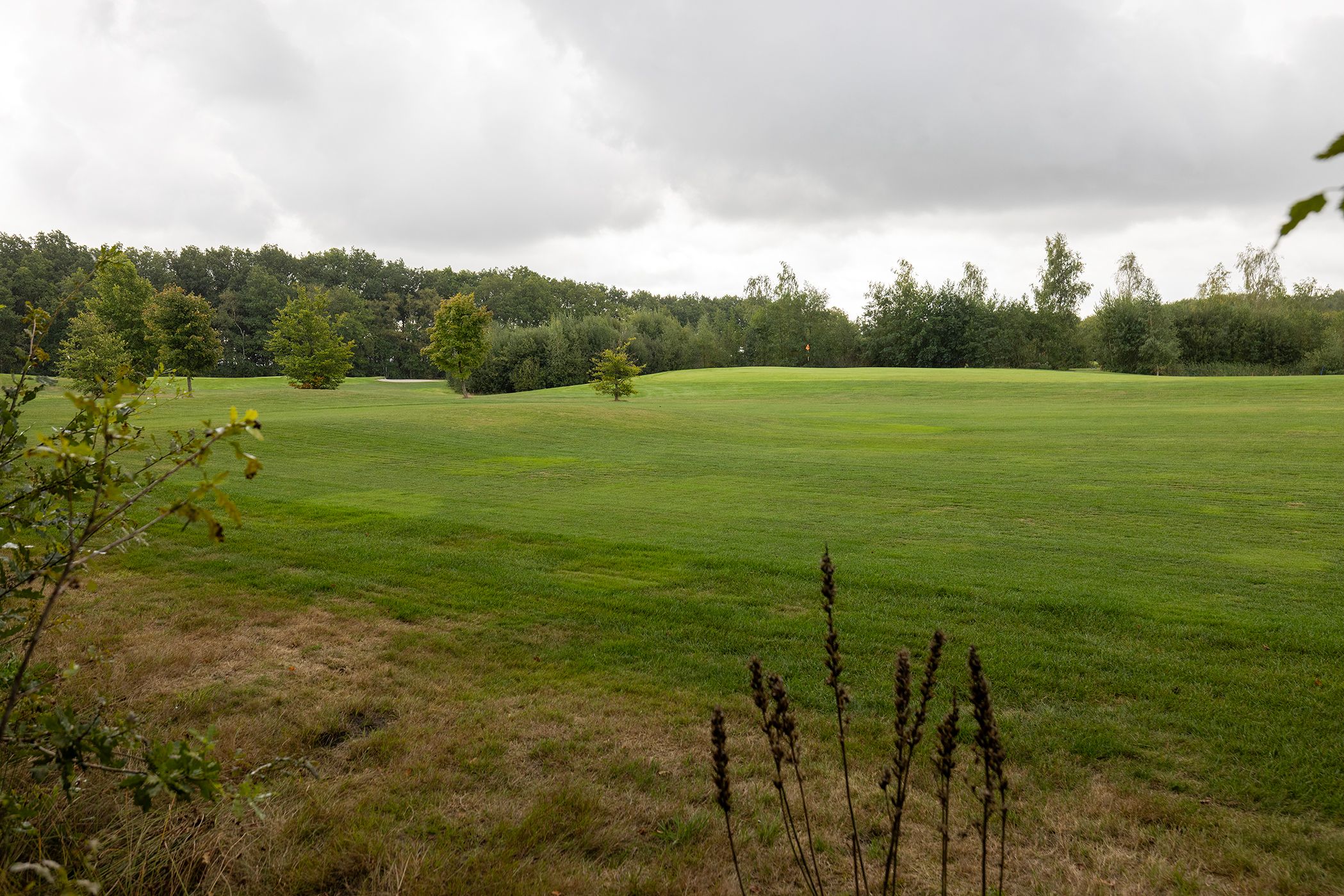 Photo 75 of Haarweg 14