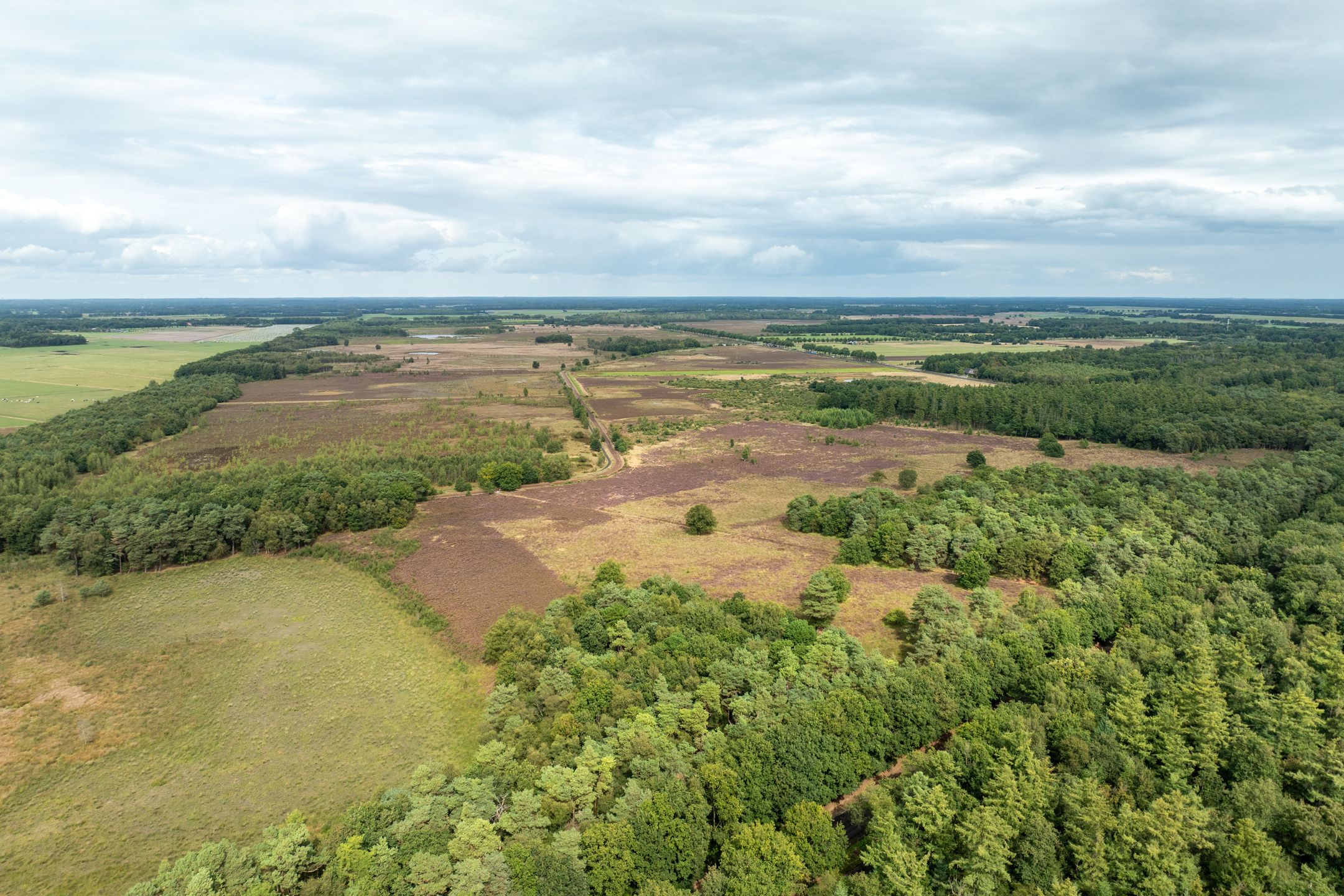 Photo 84 of Haarweg 14