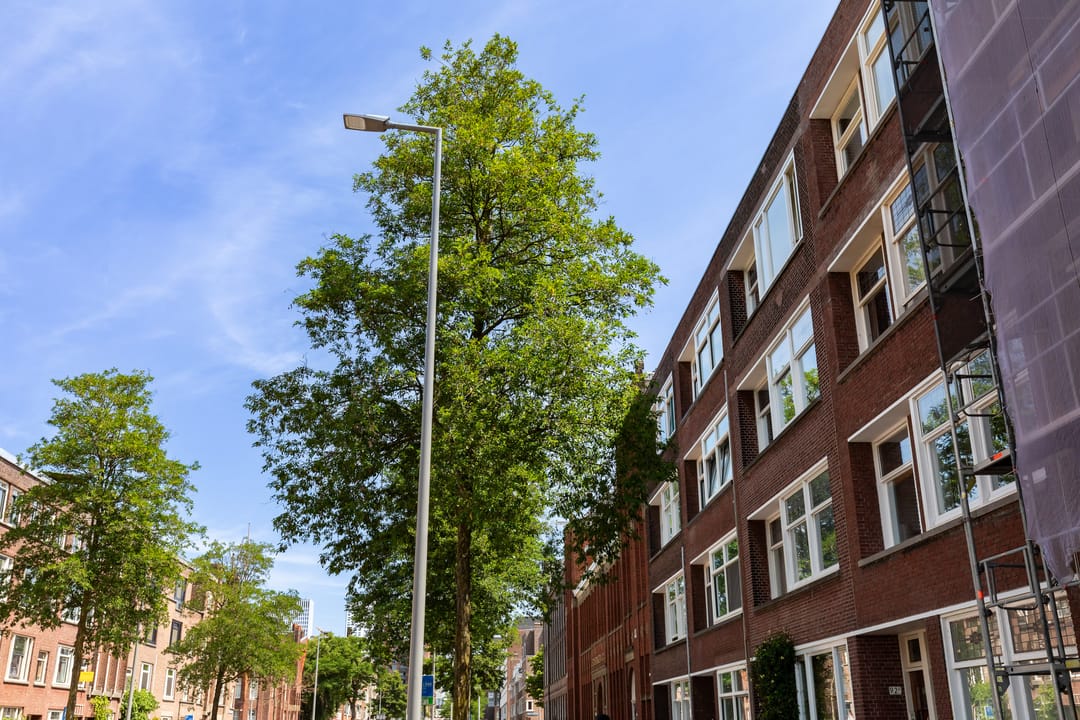 Foto 43 van Willem Buytewechstraat 92-B