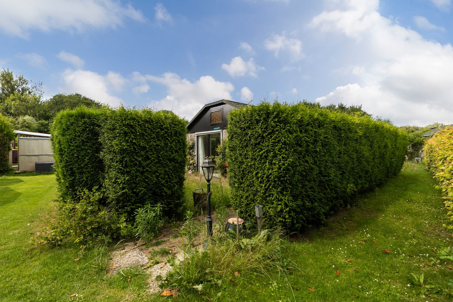 Foto 20 van Rietweg 84-48