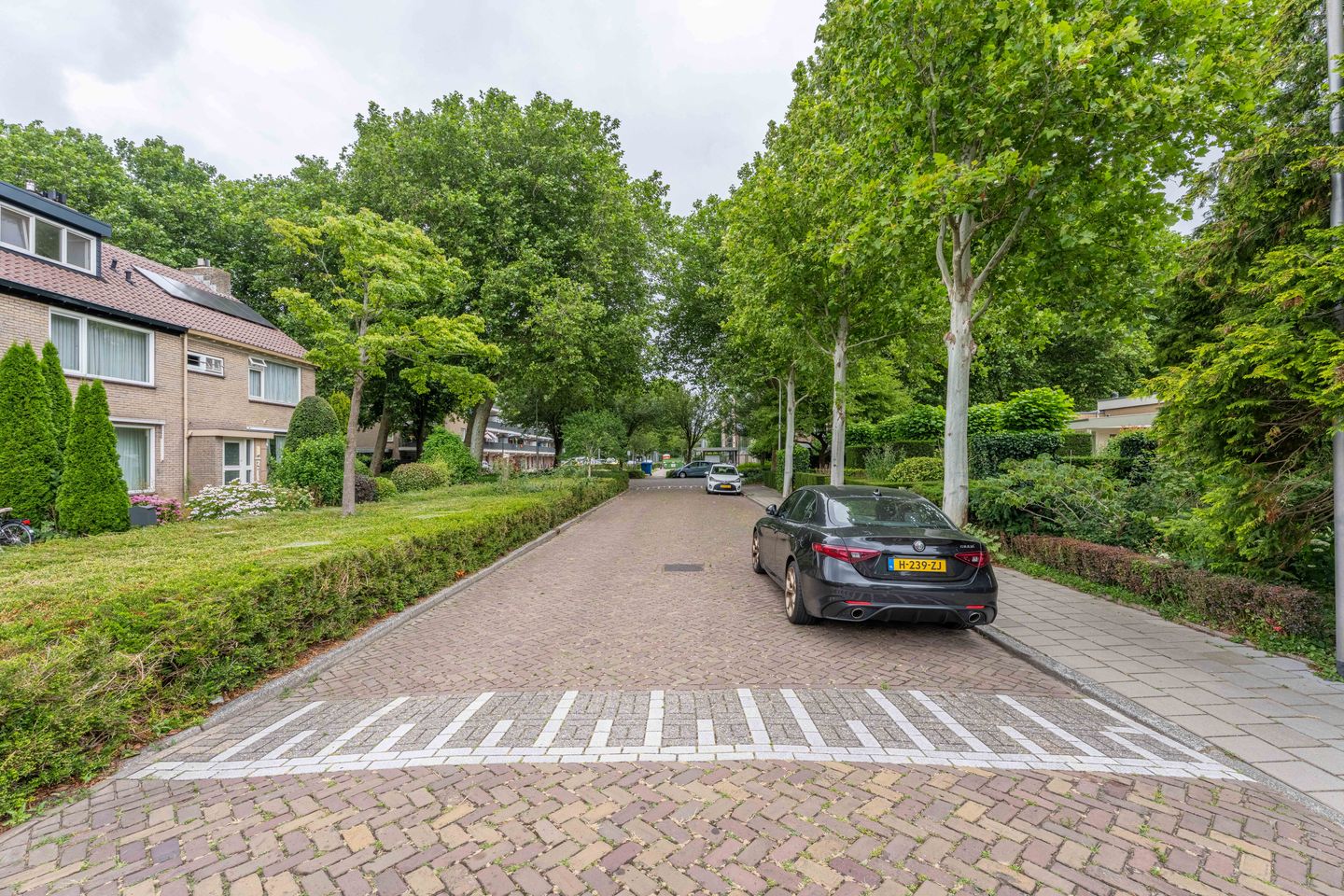 Foto 44 van Paulus Potterplantsoen 3