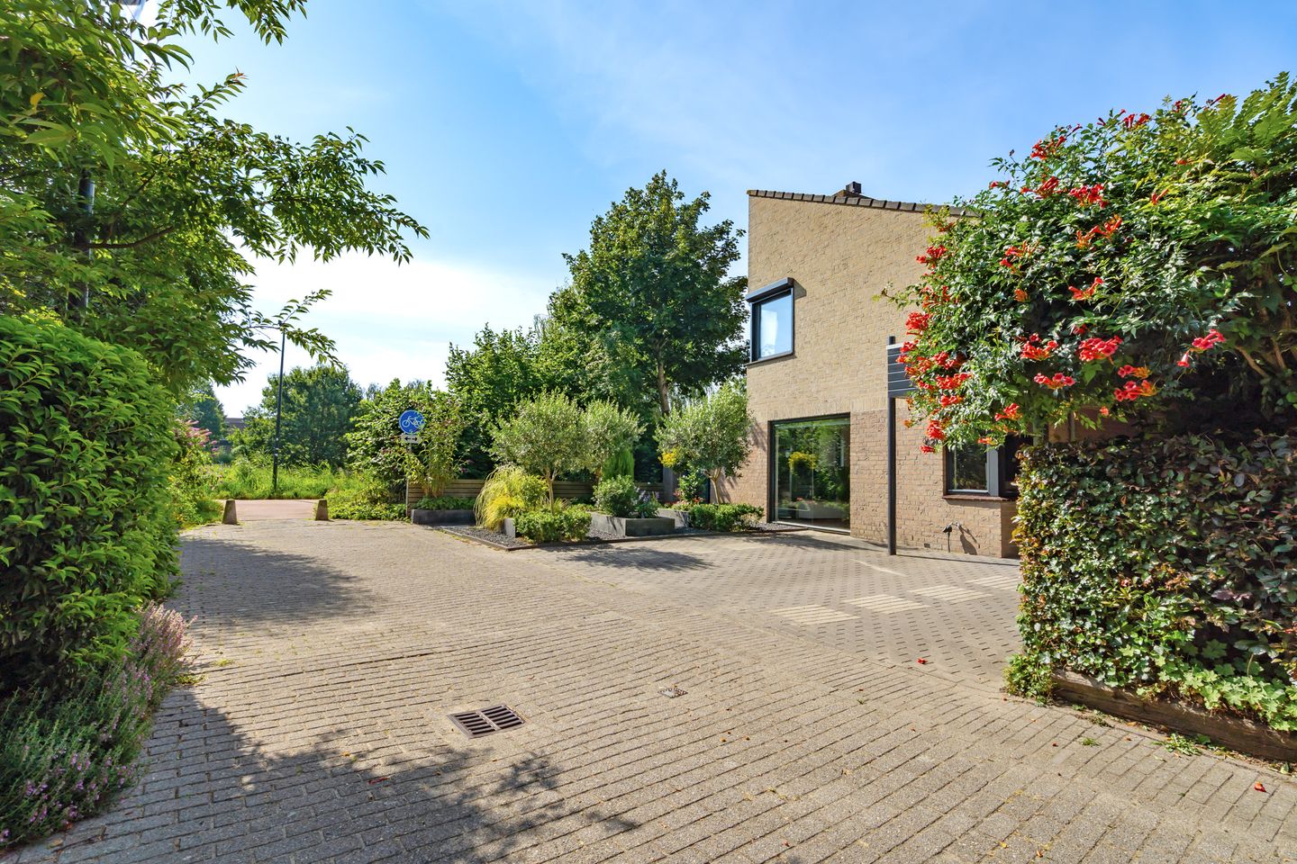 Foto 5 van Veldmoeren 42-A