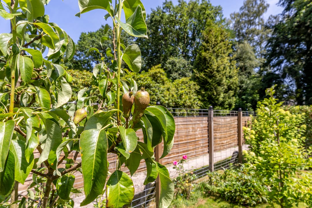 Photo 31 of Blazeveldweg 17
