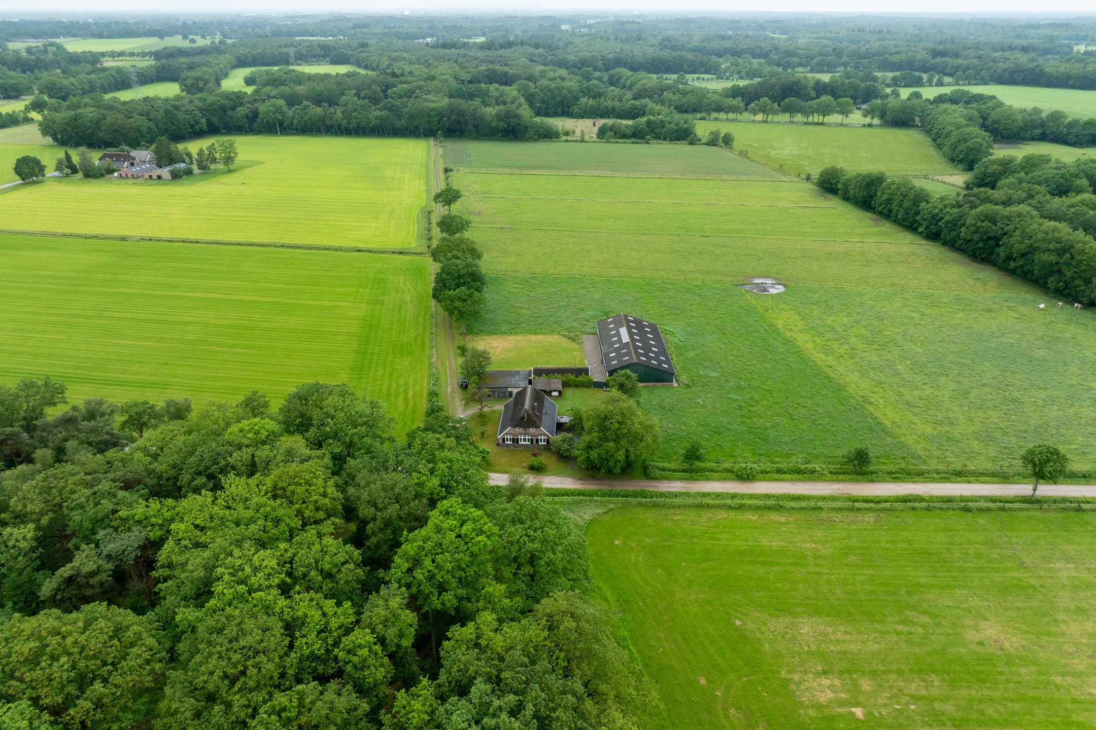 Foto 45 van 1e Zuider Pierkesmarsweg 1