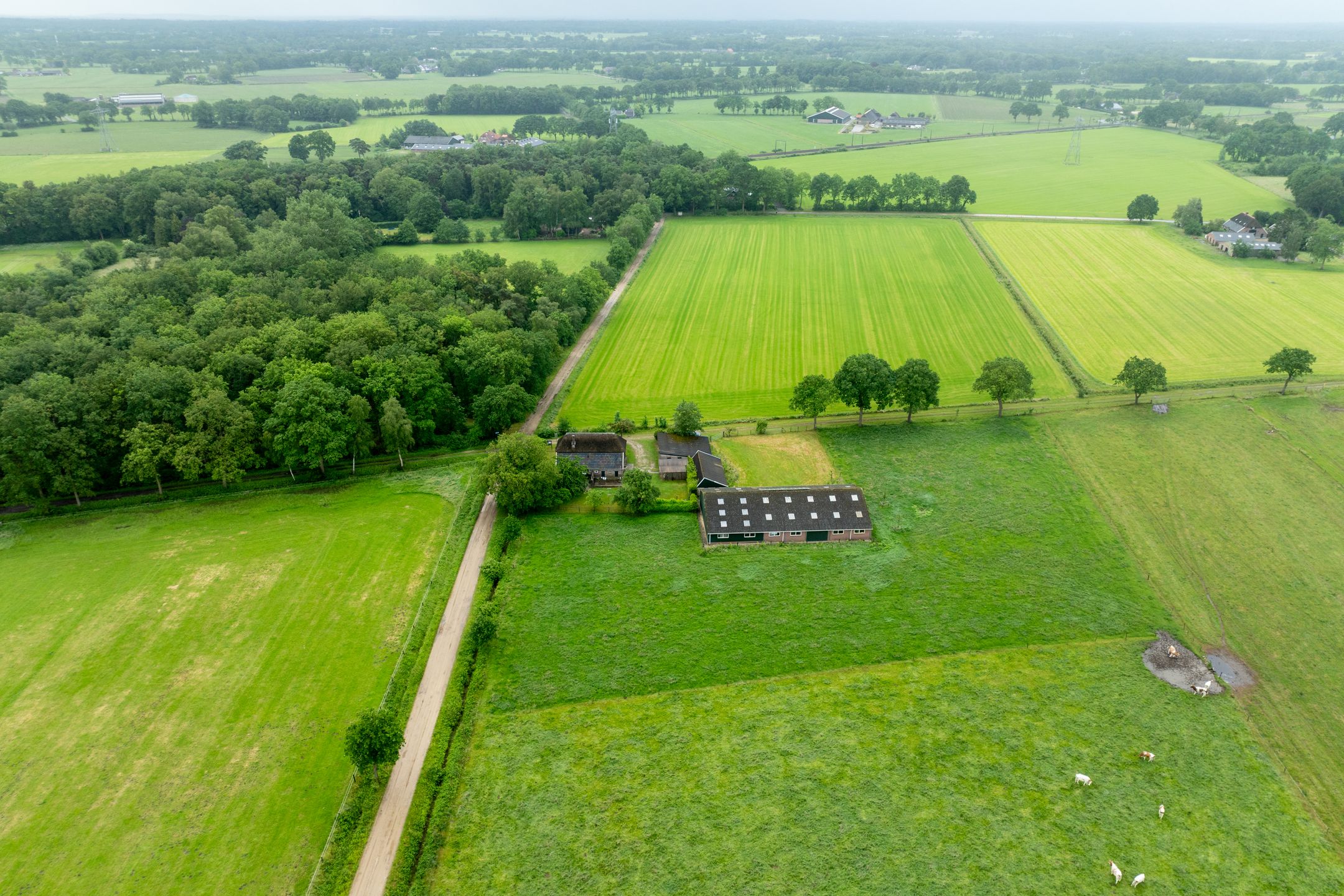 Foto 48 van 1e Zuider Pierkesmarsweg 1