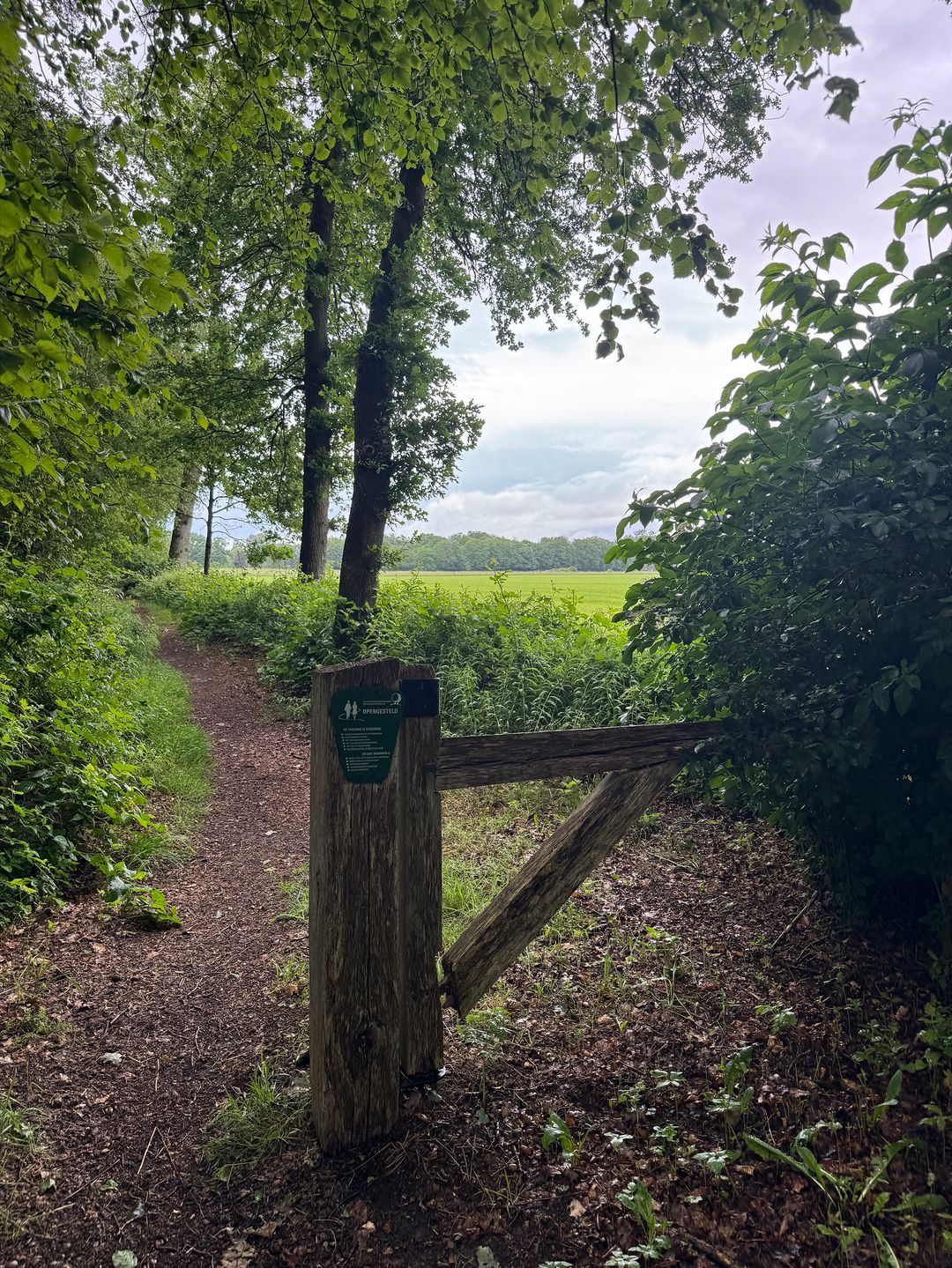 Foto 43 van 1e Zuider Pierkesmarsweg 1