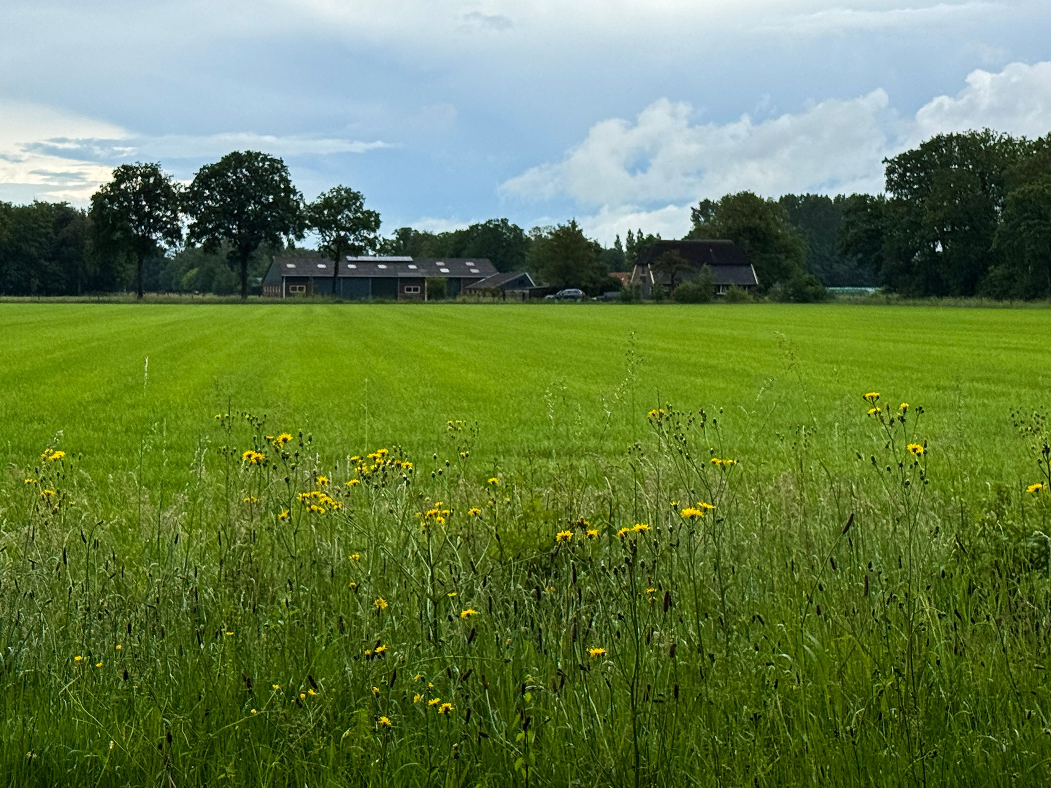 Foto 42 van 1e Zuider Pierkesmarsweg 1