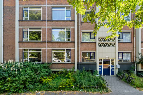 Steenwijklaan thumbnail