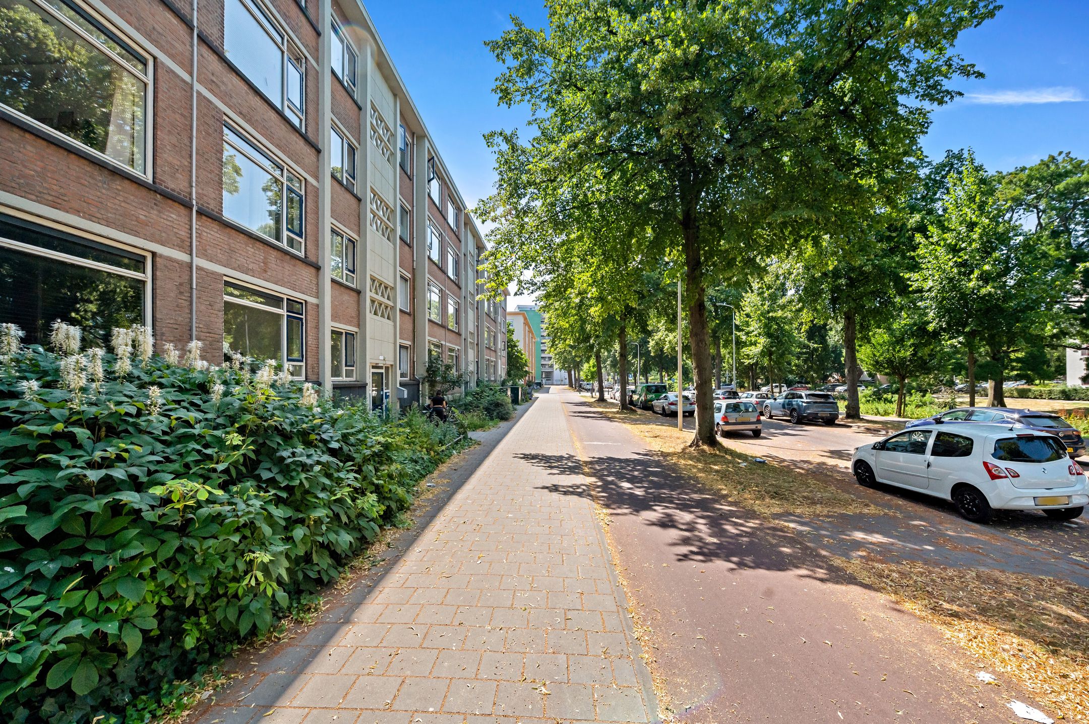Foto 33 van Steenwijklaan 354