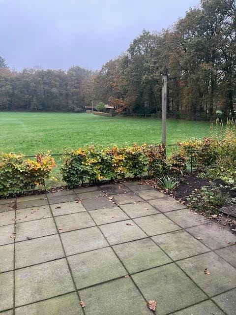 Foto 7 van Kemperbergerweg 221-1