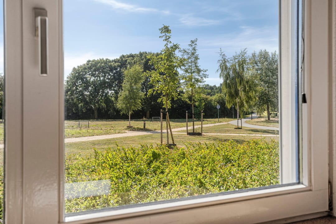 Photo 8 of Schildwacht 49