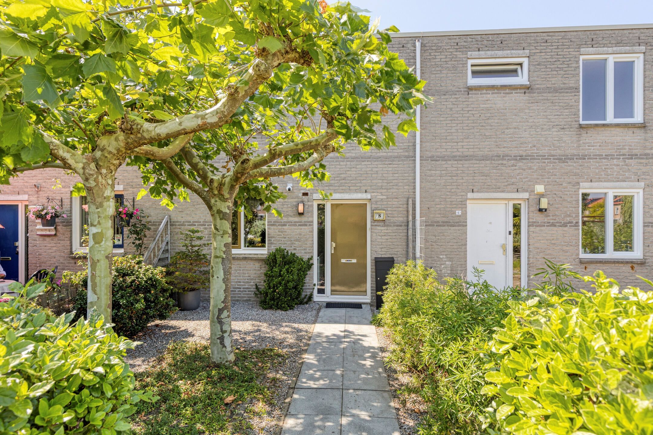 Dillepad 8 