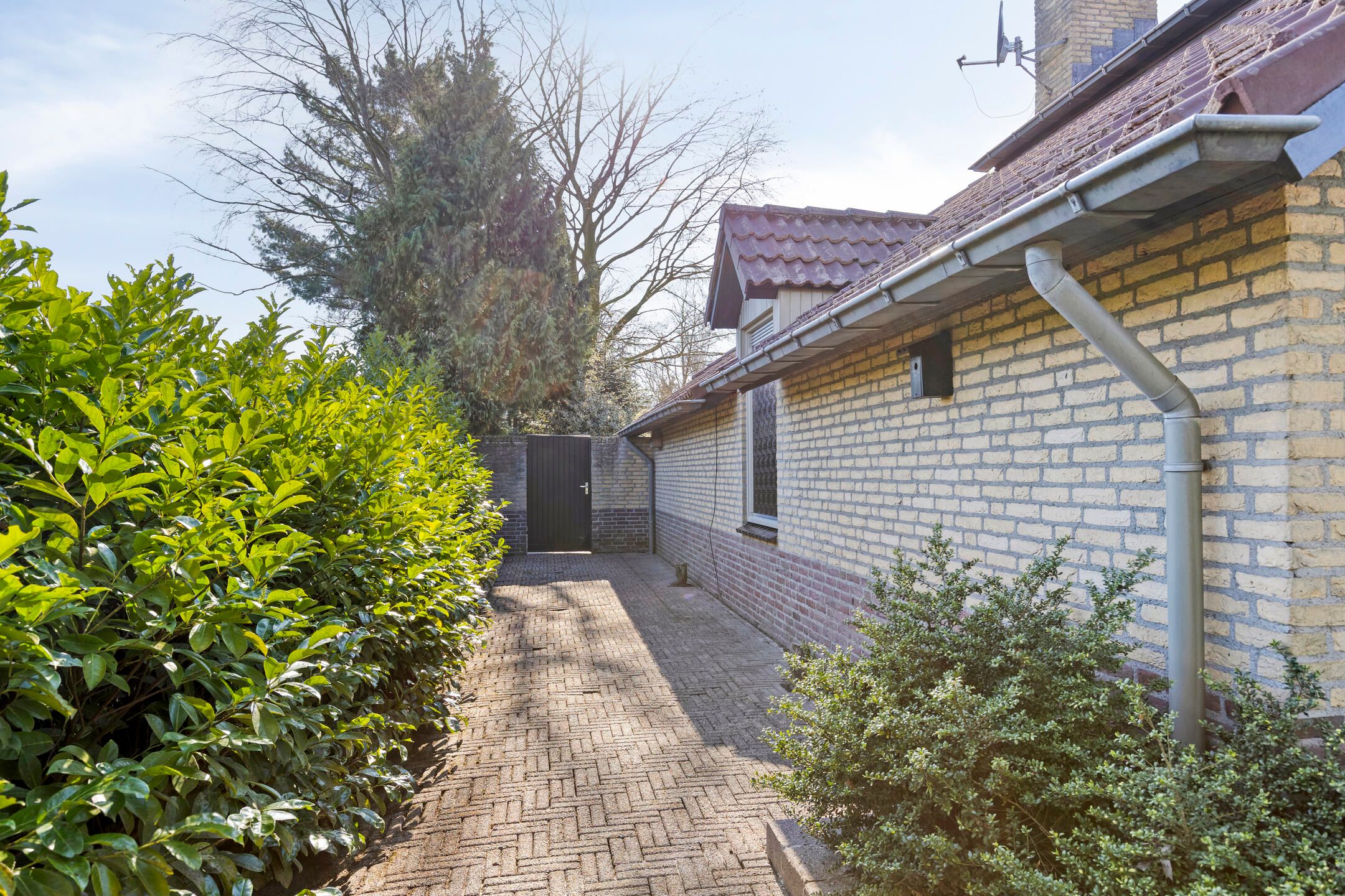 Photo 66 of Laarstraat 11