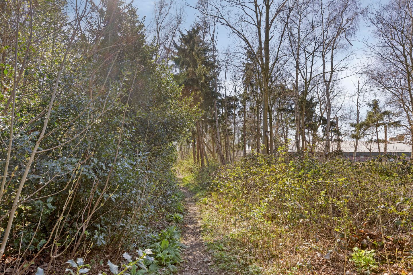 Photo 50 of Laarstraat 11