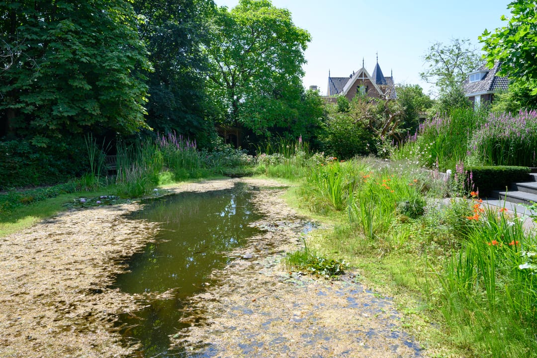 Photo 83 of Burgemeester de Wijslaan 6