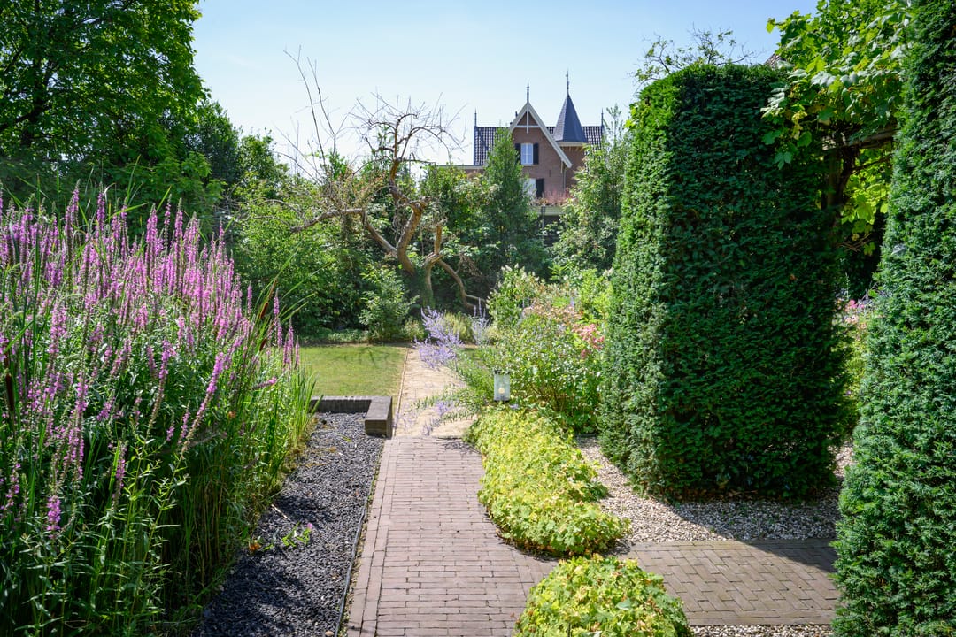 Photo 77 of Burgemeester de Wijslaan 6