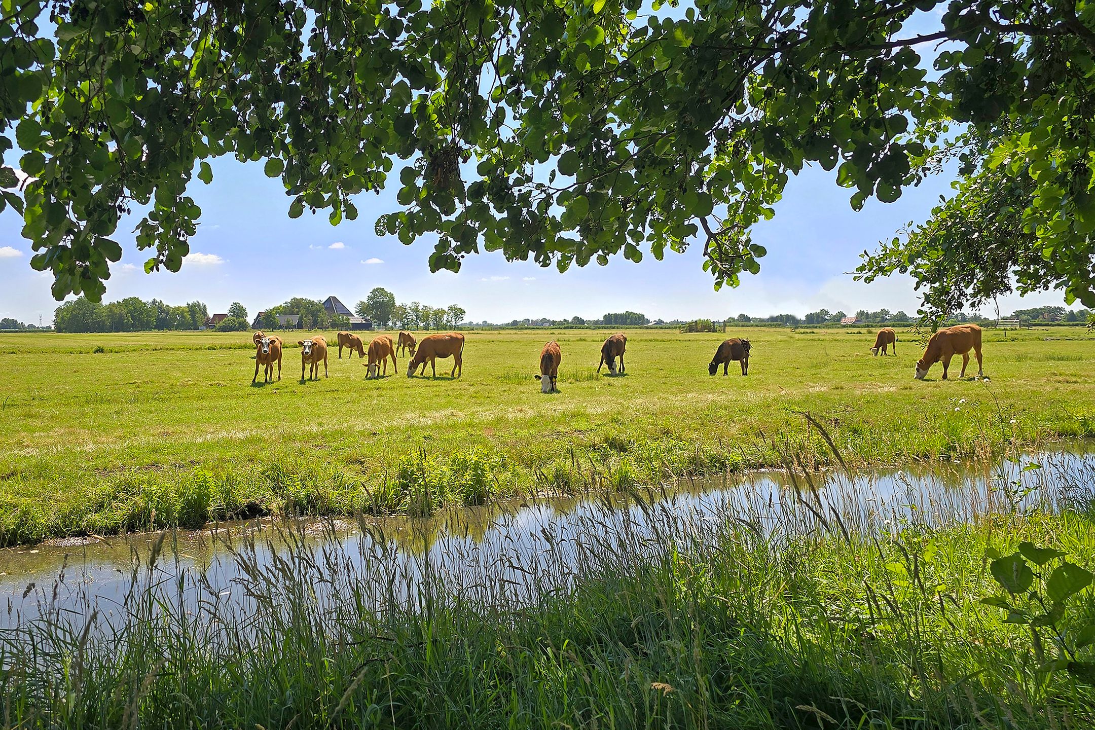 Photo 3 of Korendijk 3