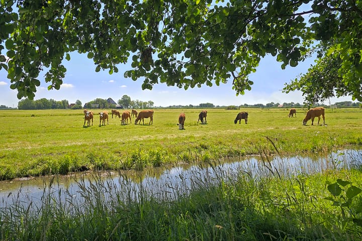Foto 3 van Korendijk 3