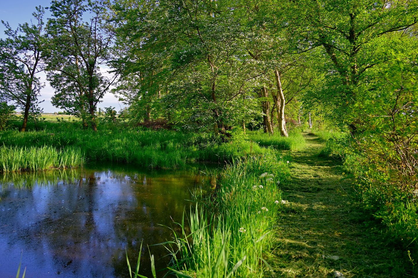 Photo 5 of Korendijk 3