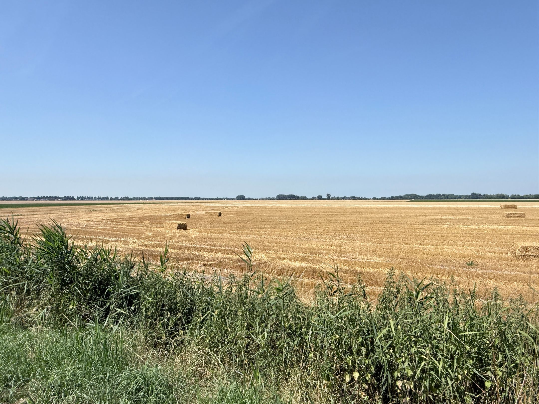 Photo 36 of Sasdijk 31
