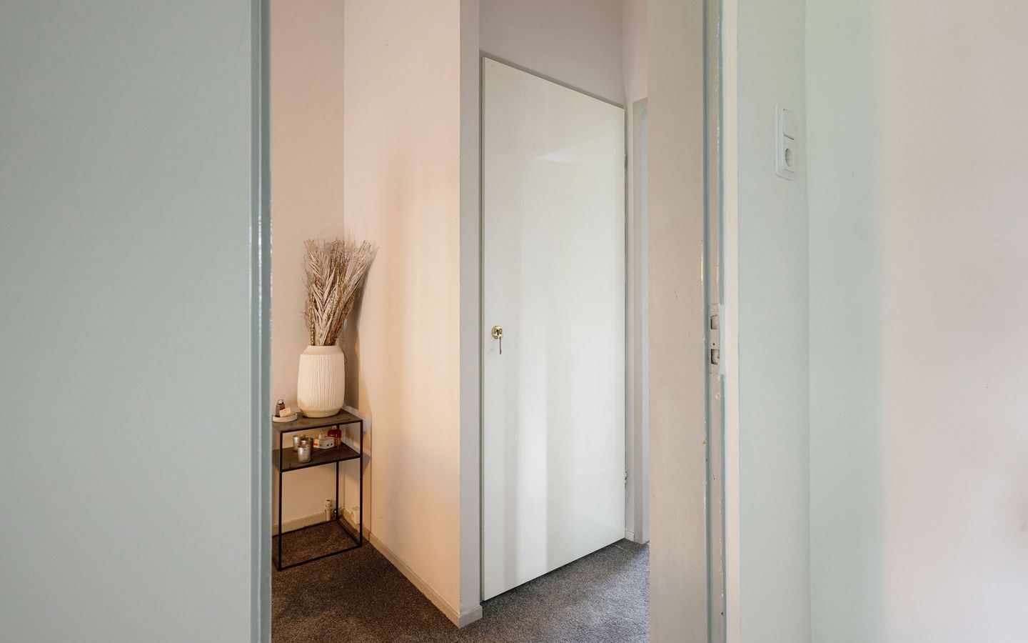 Photo 34 of Duiker 40