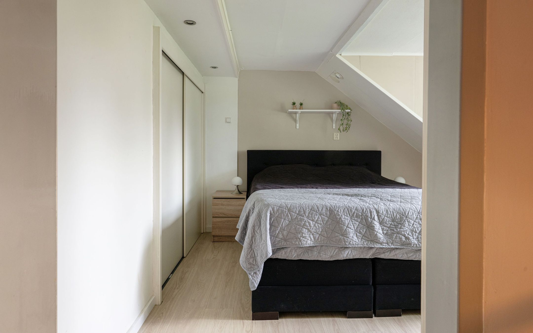 Photo 30 of Duiker 40