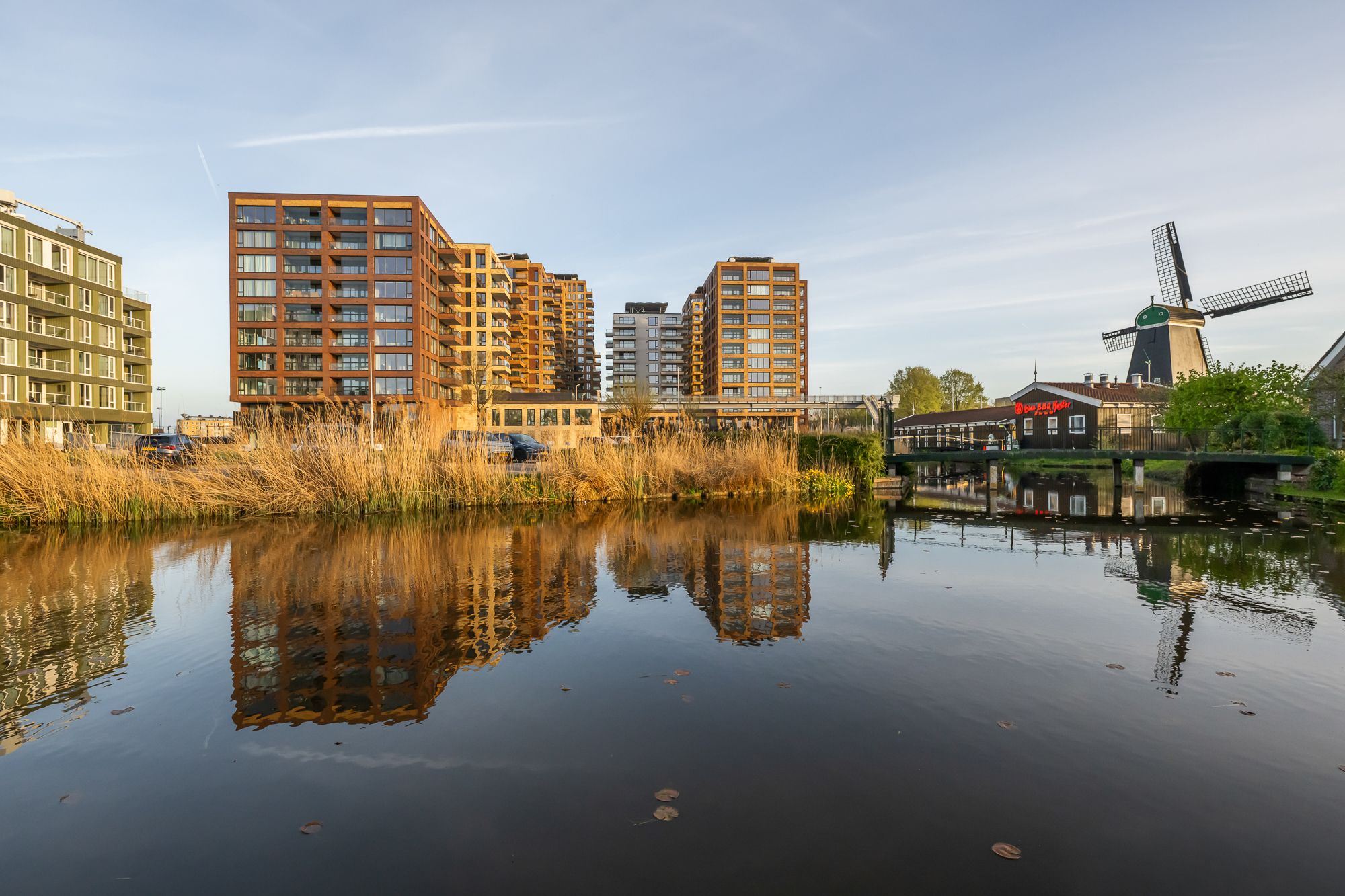 Mahoniehout 436 