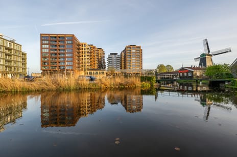 Mahoniehout thumbnail