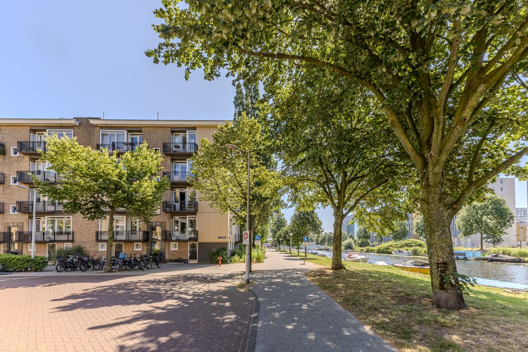 Foto 1 van Blauwvoetstraat 2-1
