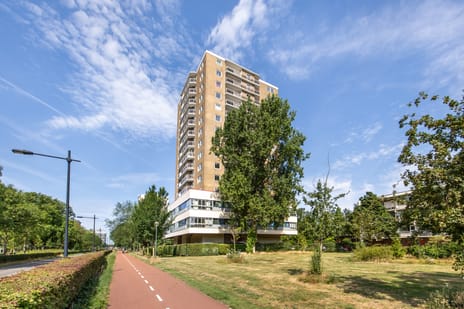 Robert Kochlaan thumbnail