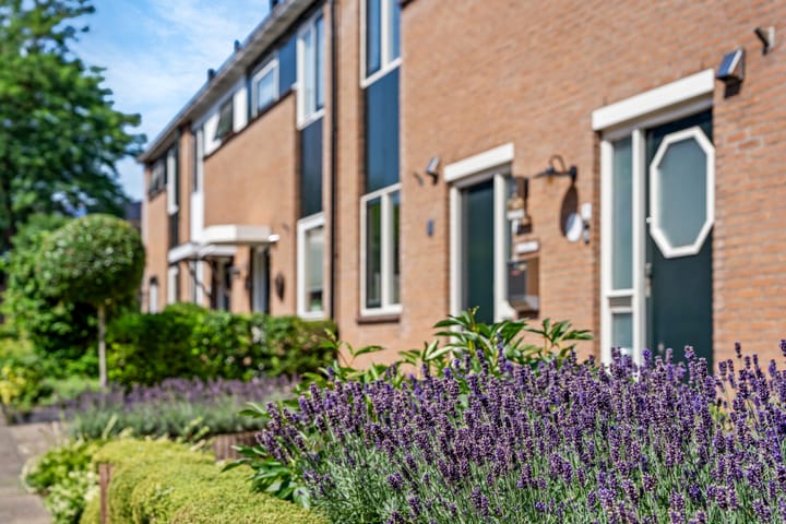 Foto 2 van Het Fortuyn 4