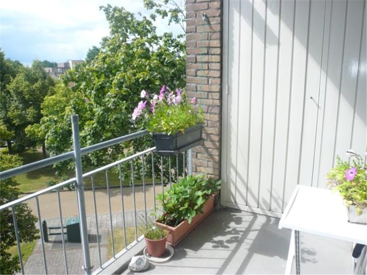 Foto 4 van van Ewijcksingel 86