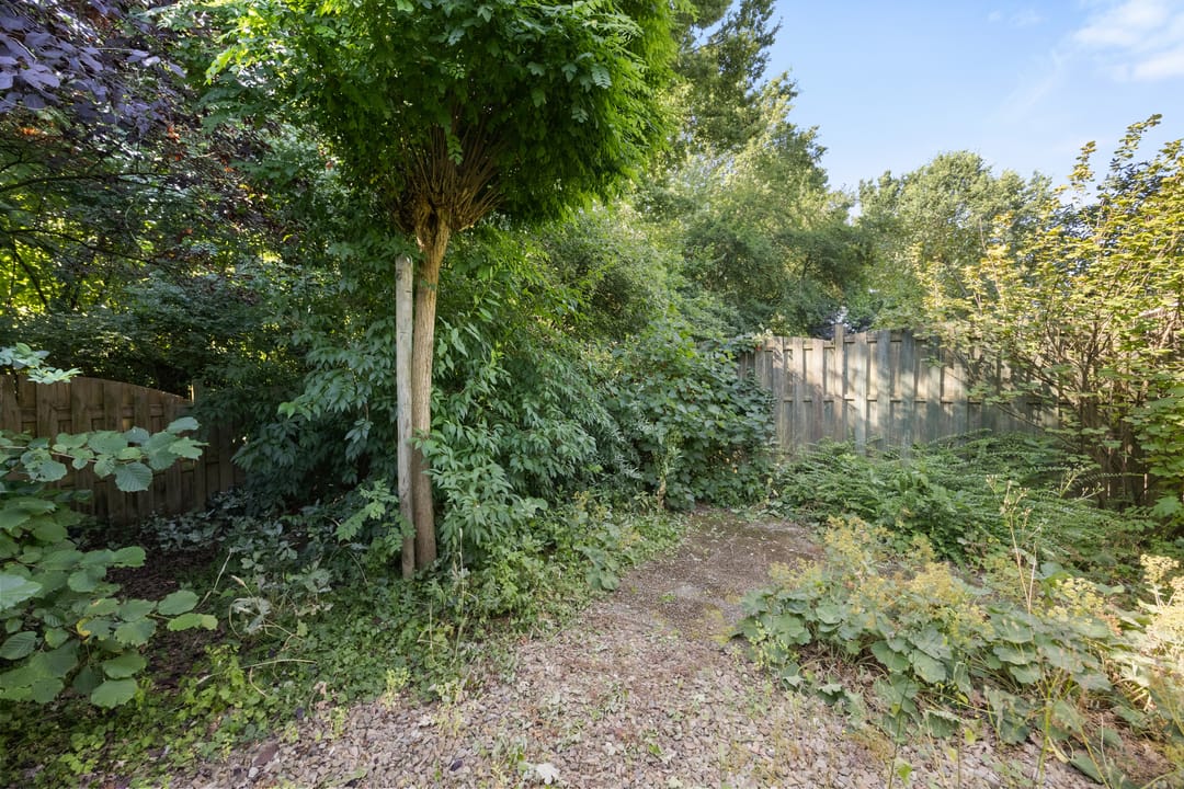 Photo 37 of Zwanenhorst 94