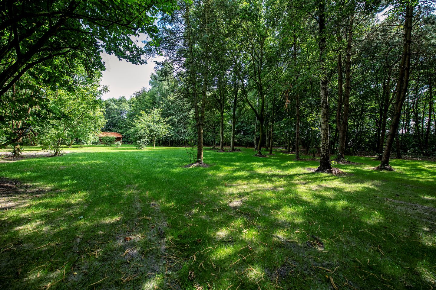 Foto 4 van Vonkslaan 37