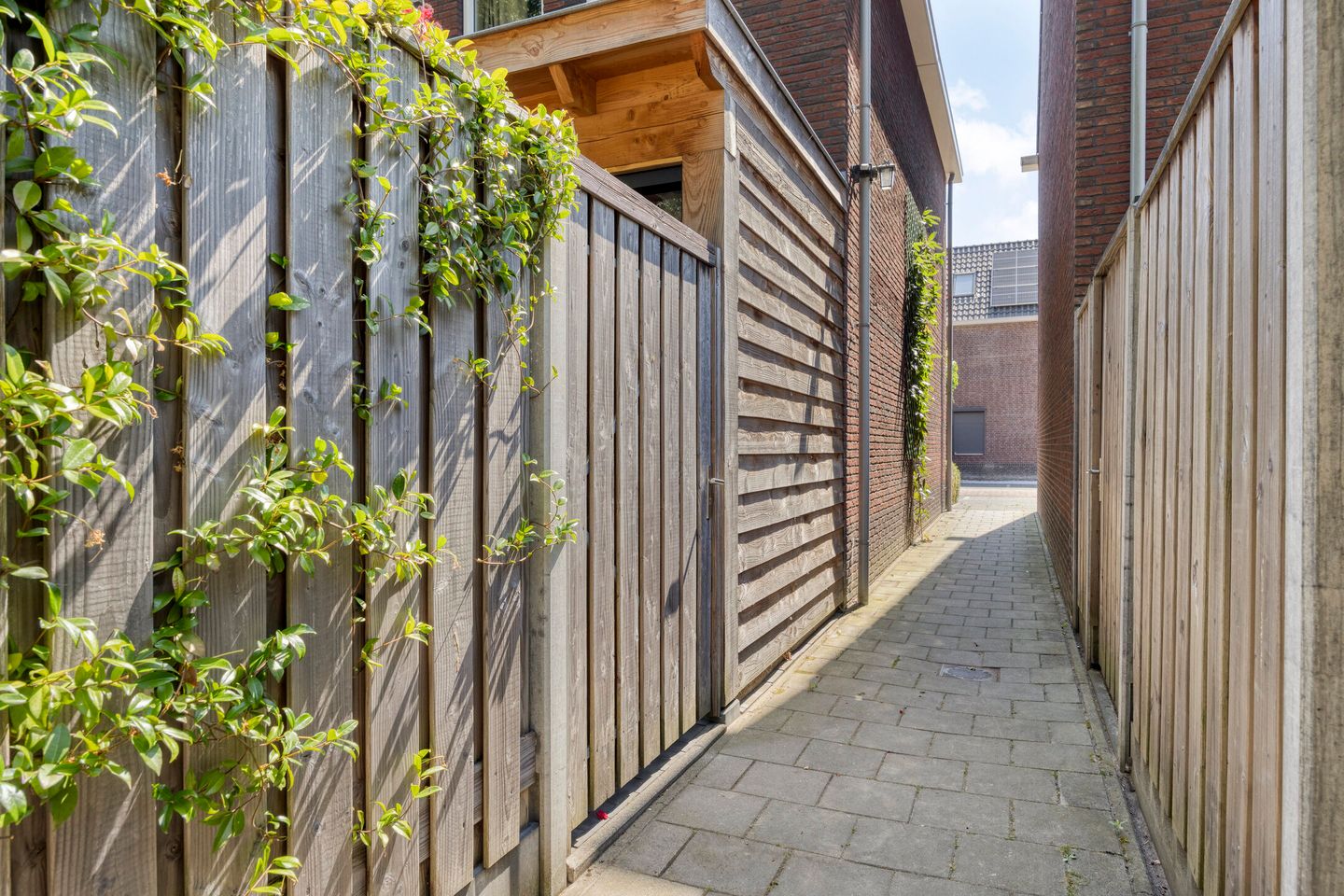 Foto 25 van Korenbloem 10