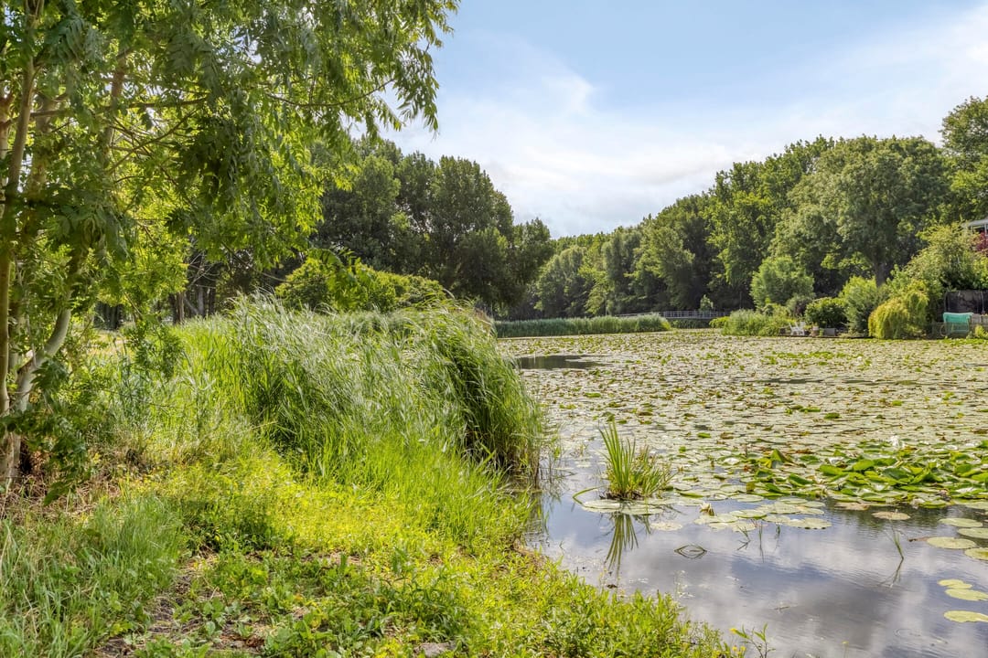 Photo 31 of Ringvaart 23