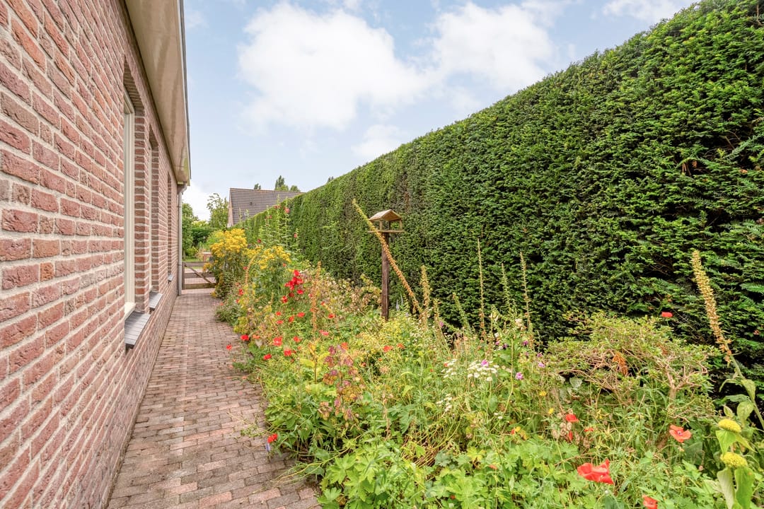Photo 61 of Zuiderkruis 56