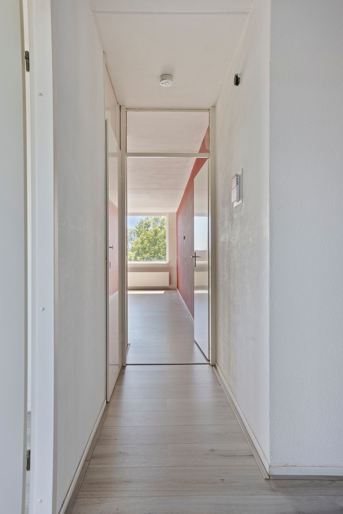 Photo 5 of Palmboomstraat 84