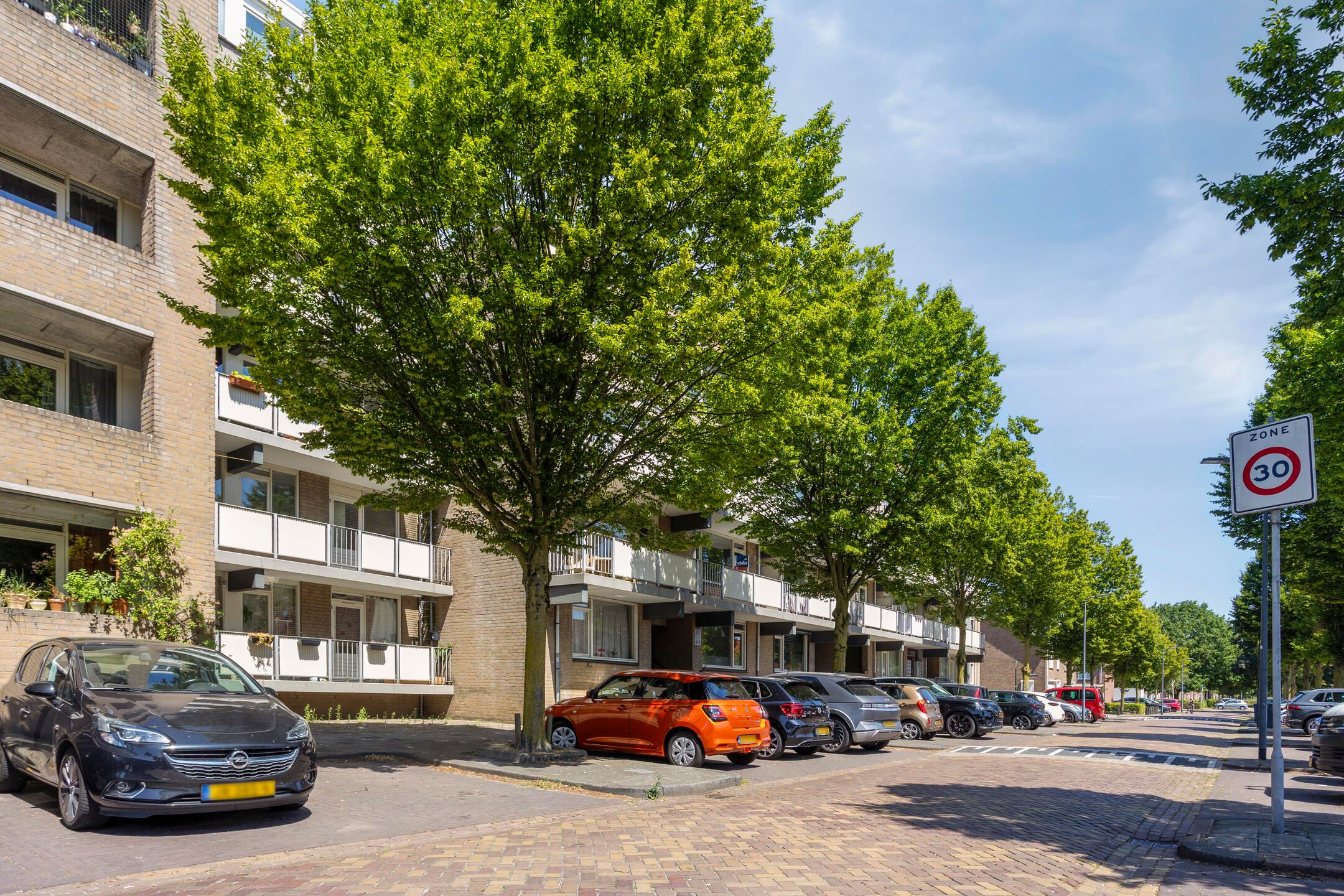 Palmboomstraat 84 