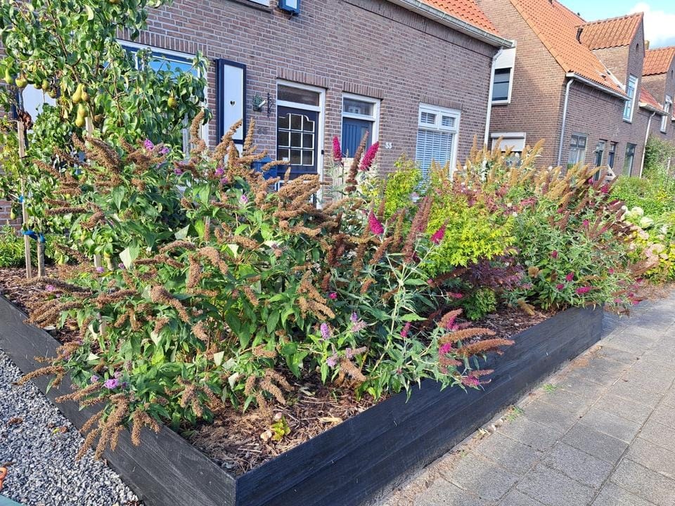 Photo 6 of Kerkstraat 35
