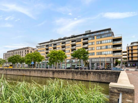 Grauwaartsingel thumbnail