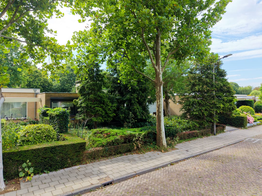 Foto 46 van Paulus Potterplantsoen 3