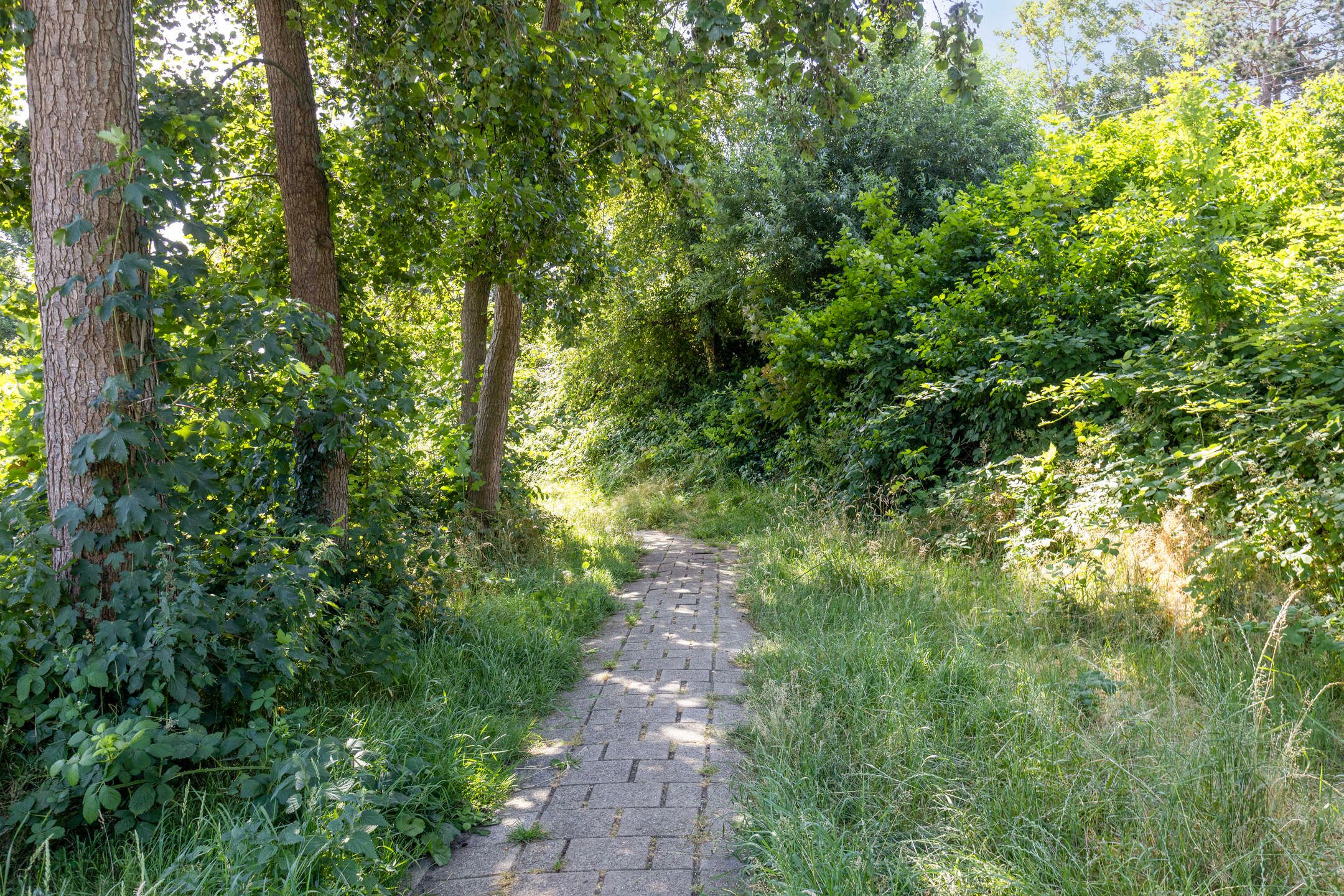 Foto 42 van Havikveld 57